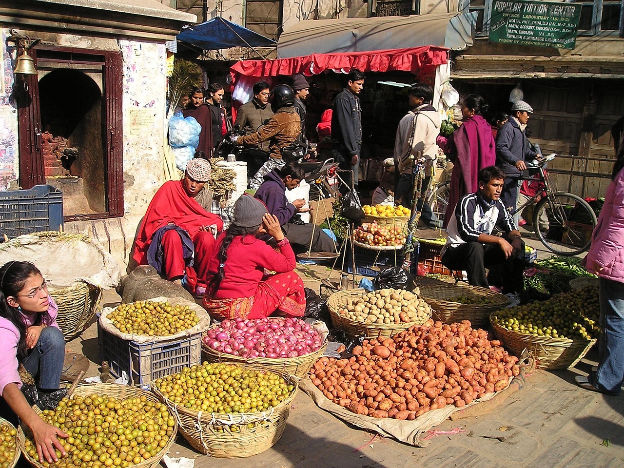 The Spiritual Journey of Nepal's Holi Festival